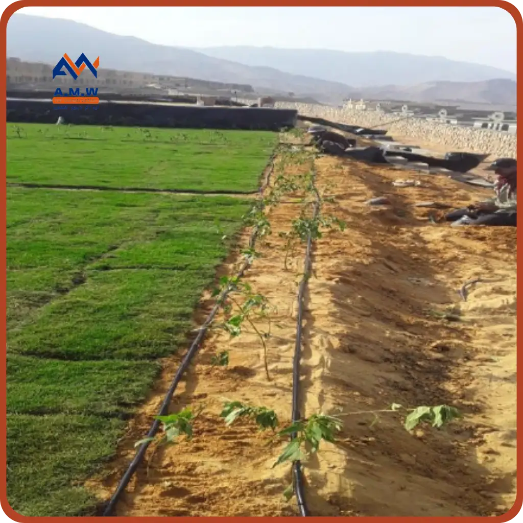 Landscape project by AMW For Construction