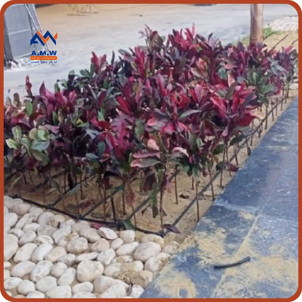 Landscape project by AMW For Construction