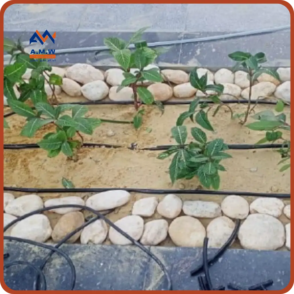 Landscape project by AMW For Construction